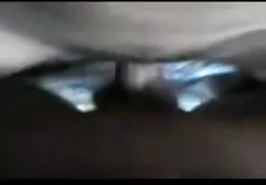 دختر ورزش ها سگسی فیلم دارای گربه است که توسط خروس بزرگ کشیده شده است